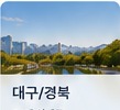 피드
